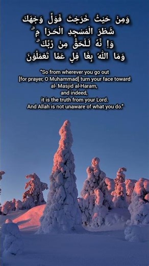 Allah #allah #quotes #quranictranslation #islamicscripture #love #quran #motivation #baqarah #shorts