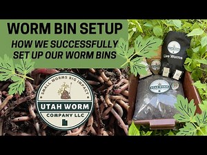Successful Worm Bin Setup