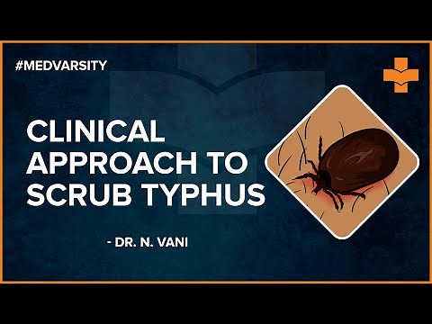 Top Doctor Reveals Best Scrub Typhus Treatment Options