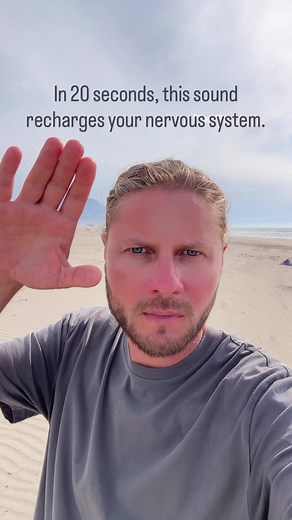Browski Resonance Method: Restore Nervous System Energy
