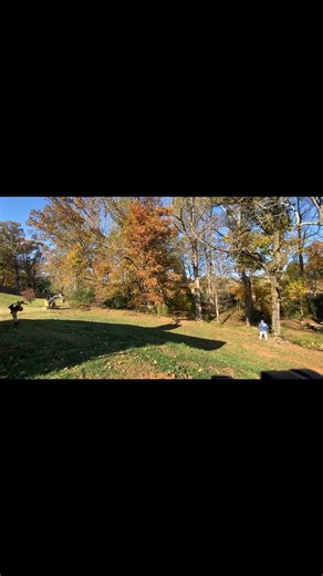 Have you ever wondered how a tree company can use a rope to remove a dangerous tree? Watch this video to find out how! #treeremoval #treeservice #rigging | Taylor Thomas Contracting Co.