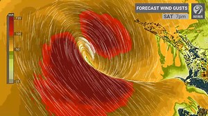 Here's the wind gust forecast for #CycloneDovi from our high-res model. Red (🔴) colour = 100 km/h gusts & greatest odds for wind damage. Impacts include: -tree damage -structural damage -difficulty driving, especially high-sided vehicles. Note: exact path of the centre determines where strongest gusts occur. This is important as there is a ring of very strong winds around the low centre. Remember: low pressure is, in essence, a hole in the atmosphere. And Mother nature likes balance, so she is 