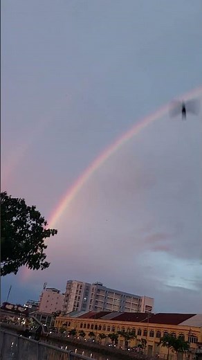 cau vong sau cơn mua