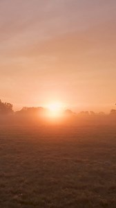 Sunrise, Sun, Morning. Free Stock Video