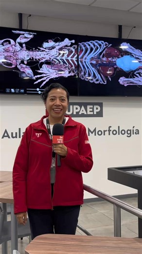 🐾 Estudia Medicina Veterinaria y Zootecnia en una universidad reconocida por su excelencia. UPAEP es la única universidad privada en México acreditada por CONEVET entre 14 instituciones reconocidas a nivel nacional, de un total de 70 programas evaluados. Contamos con instalaciones de vanguardia, profesores especializados y un plan de estudios únicos. #EstudiarEnPuebla #UniversidadEnPuebla #UPAEP #SeTrataDeTi | UPAEP