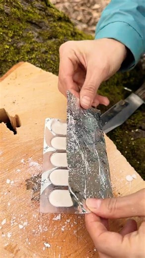 Survival Skill 🌲🔥 Bushcraft 🪓 3 Easy Steps.. #bushcraft #survival #asmr #fire #diy #camping