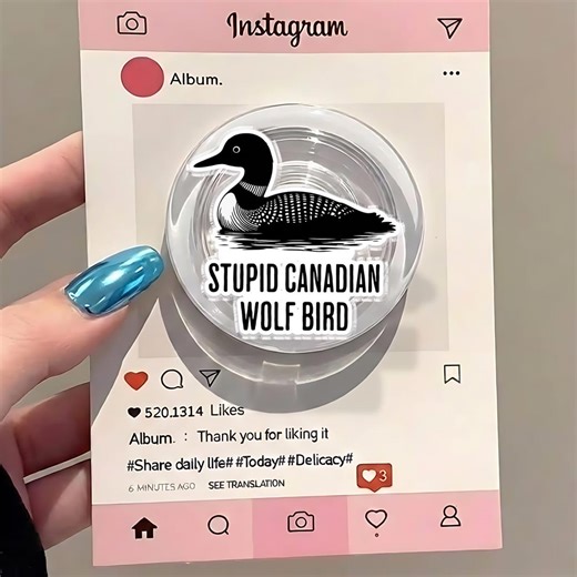 Stupid Canadian Wolf Bird Phone Grip, Hockey Romance Fan Accessory, Magsafe Phone or Kindle Grip, Gift for Book Lovers, Readers, Bookworms - Etsy