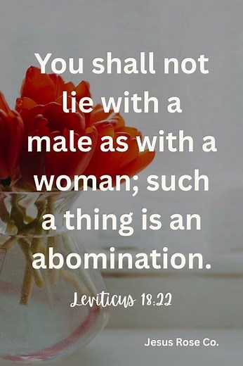 Catholic Bible Study | Leviticus 18:22 | Jesus Rose Co. ✝️