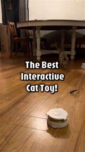 BEST interactive cat toy! Hours of play! #ad