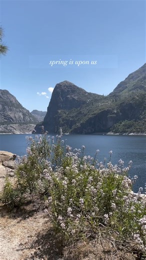 9.6K views · 210 reactions | Soak in the magic of Hetch Hetchy Reservoir during your next visit to Yosemite National Park. ️ With epic wildflowers, waterfalls and gorgeous scenery, it's a must-see no matter the season!⁠ The best part? You can enjoy the beauty and peacefulness of Yosemite National Park without the crazy crowds and a park peak-hour reservation! ⁠ Video by Rush Creek Spa #VisitTuolumneCounty #WanderFreely #YosemiteNationalPark | Visit Tuolumne County | Facebook