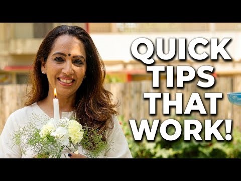 Beginner Flower Arrangement Ideas | Beautiful Budget Decorations