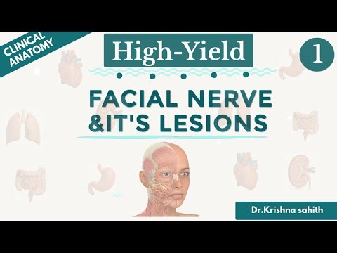 Facial nerve & its lesions |Part-1|Dr KRISHNA SAHITH