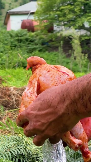 Watermelon Chicken over Open Fire 🔥🍉🍗