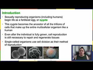 OpenStax Concepts of Biology Chapter 6 Getting Started