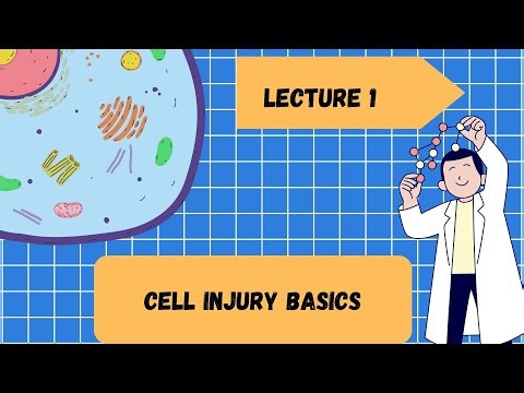 Cellular Injury: Causes, Conditions & Key Factors Explained