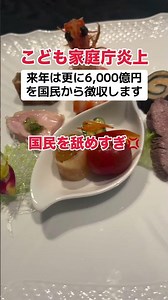 [Furious] Child and Family Agency: "We will collect 600 billion yen next year as well"