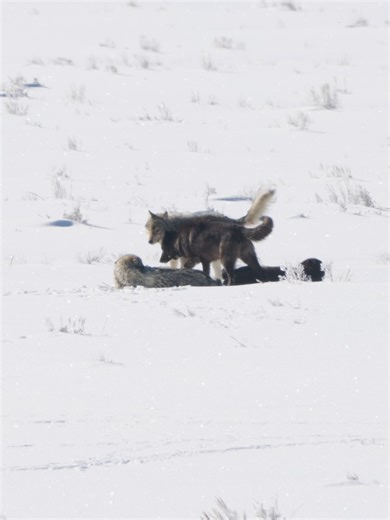 27 reactions · 5 comments | We are very excited for our upcoming...