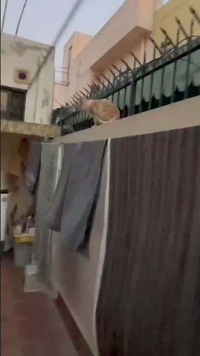 How to become Emotionally Independent ❤️