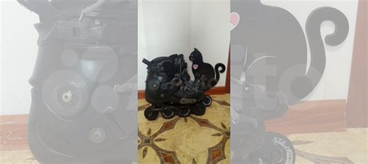 Ролики Seba FR (42 размер) купить в Санкт-Петербурге по низкой цене с доставкой | Хобби и отдых | Авито