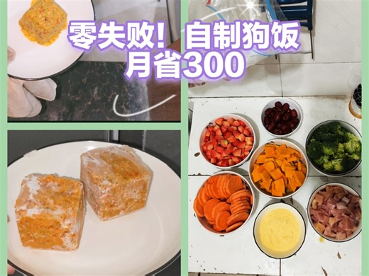 附教程清单｜养狗人低成本自制狗饭月省300元
