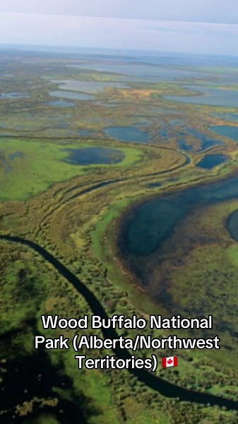 Explore Wood Buffalo National Park: Canada’s Natural Wonder