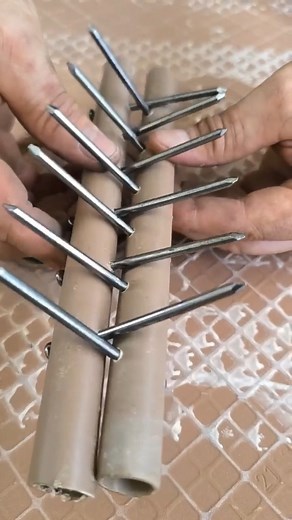 398K views · 2.2K reactions | Put nails in the PVC pipe and be amazed by this idea #ideas #garden #tricks | Raimundo's Recipes and Tips | Facebook