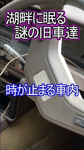 秘境湖に放置された旧車草ヒロ達