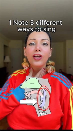 Singing for Visual Learners on Instagram: "👉This is from the ’Singing Course for Visual Learners’ where you learn singing step-by-step with visuals! ✅Comment “Course” and I’ll DM you the link with all the info and sign-up details. 1. Head Resonance – Vibrations felt in the head or skull area, giving your tone a light and airy quality. 2. Nasal Resonance – Sound waves resonate in the nasal cavity, adding brightness and focus to the voice. 3. Oral Cavity Resonance – The mouth shapes and amplifies