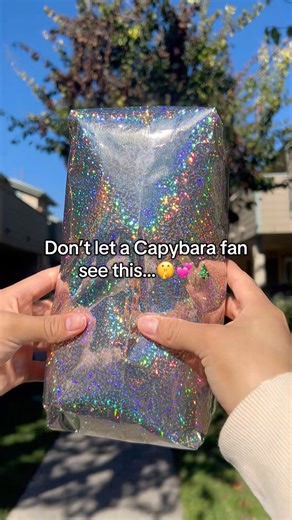 Website:CapyPlush.store💘Link in Bio!🎄#capybara #plushies #christmas #giftideas #cute #stuffedtoy