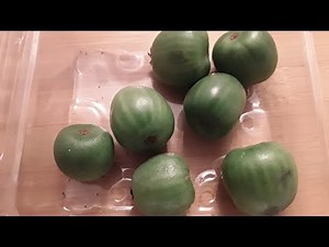 Kiwi berry tasting, Actinidia Arguta Issai