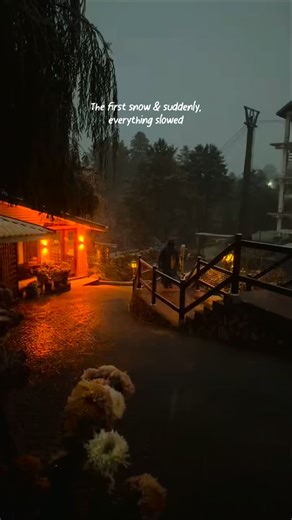 Cedarwood Hotel & Resort on Instagram: "The first snow and suddenly, everything slowed. Time softened, the world turned white. Only the sound of hearts and falling flakes remained. Cedarwood, where winter feels alive"