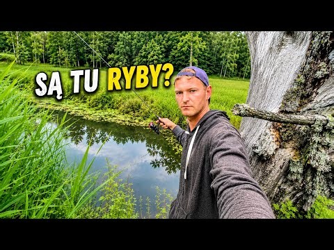 I discovered a small river! What was I able to catch?