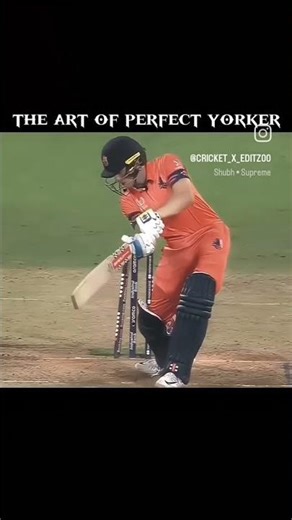 the art of perfect yorker 🤴🦅👑