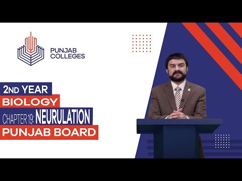 PGC Lectures-Inter Part II-Punjab Board-Biology-Chapter 19 - Neurulation