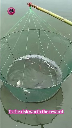 Trading a Chicken to Catch Fish — Is It Worth It?