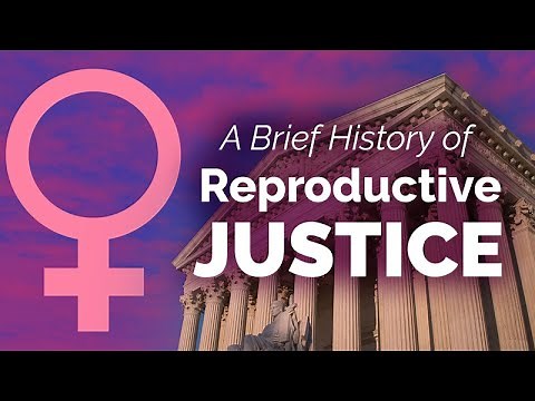 A Brief History of Reproductive Justice