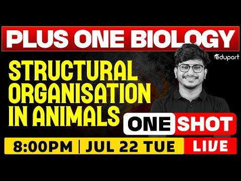 Structural Organisation in Animals | One Shot | Plus One Biology Chapter 7 | Eduport Plus One