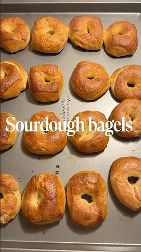 Sourdough bagels 🥯 recipe by Clever Carrots