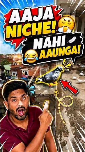 Mini Vlog 220 | Ye Kabutar Mujhe Hi Chuna Laga Gaya! 😂🕊️