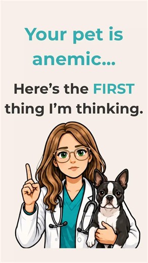 The First Blood Test I Check for Anemia