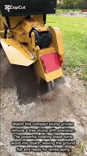 Efficient Stump Grinding Process