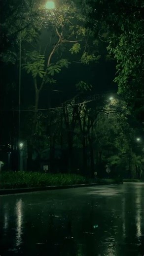 Unwind with Rain Sounds: Heavy Rain for Sleep and Disease Prevention