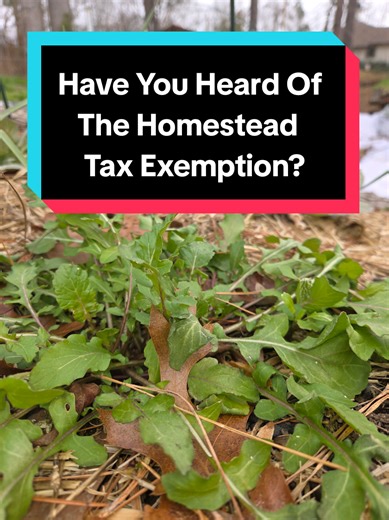 if you own the land you live on, you can save money on your property tax. if you qualify, don't leave money on the table. #learnontiktok #tiktoklearningcampaign #howtolowerpropertytax #thehomesteadexemption #applyfortaxexemptions