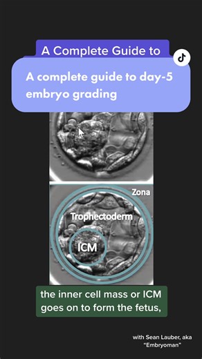 Introducing Rescripted Lessons: a full library of ~60 second videos dedicated to educating YOU about your reproductive, hormonal, and sexual health and wellness. Brought to you by experts like Embryoman, and curated by Rescripted. Head to the link in our bio to learn more! ✨ #fertilityrescripted #embryo #embryologist #day5embryo #blastocyst #embryograding #embryology #ivf #ivfjourney #ivftransfer #fertility #fertilityjourney #fertilitytips #fertilitysupport #ttc #ttcsupport #tryingtogetpreggo