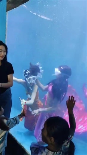 Fighting mermaids 😂😂 #mermaids #funnyvideo #aquariumfish