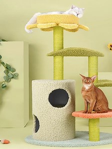 5 pet stores worth visiting in KL and PJ for your furry friends' needs