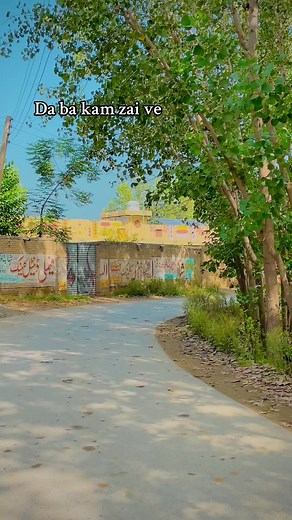 Discover Kali Wala Jeny's Unique Charm