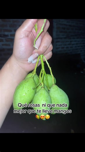 Mangos Dulces: La Delicia Perfecta para el Verano