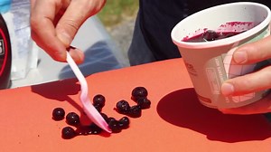 Watch Indoor/Outdoor Sunbrella Shore Classic Rocking Chair 2 Pc Foam Cushion Set ~ Fits Cracker Barrel... on Amazon Live