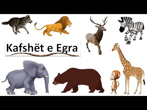 Kafshet e Egra ®️ | 3D Animation